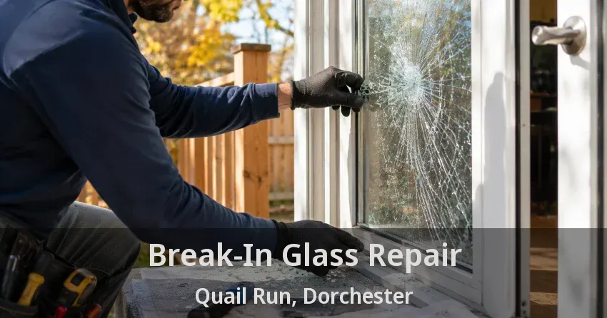 Break-In Glass Repair Quail Run, Dorchester - ON