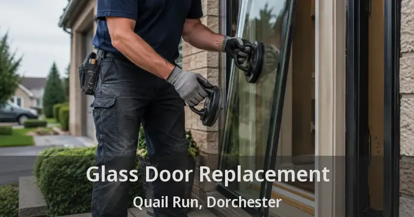Glass Door Replacement Quail Run, Dorchester - ON