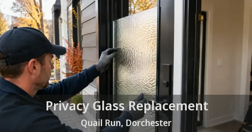 Privacy Glass Replacement Quail Run, Dorchester - ON