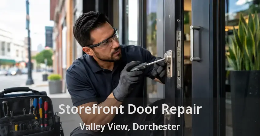Storefront Door Repair Valley View, Dorchester - ON